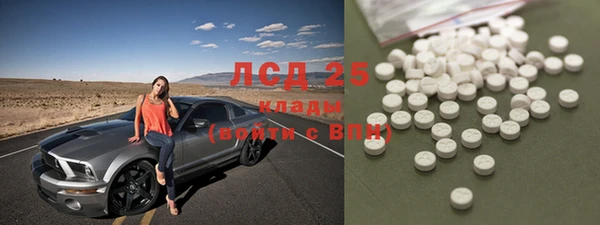 гашик Липки