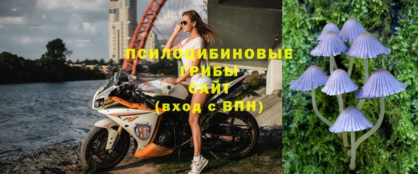 герыч Лагань