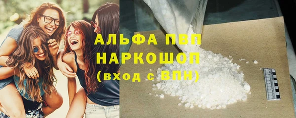 гашик Липки