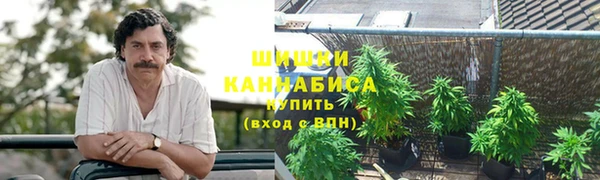 гашик Липки