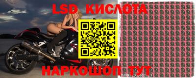 сатива Беслан