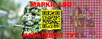 мдпв Гатчина