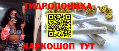 сатива Беслан