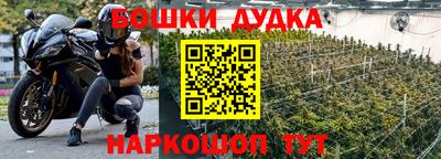 мдпв Гатчина