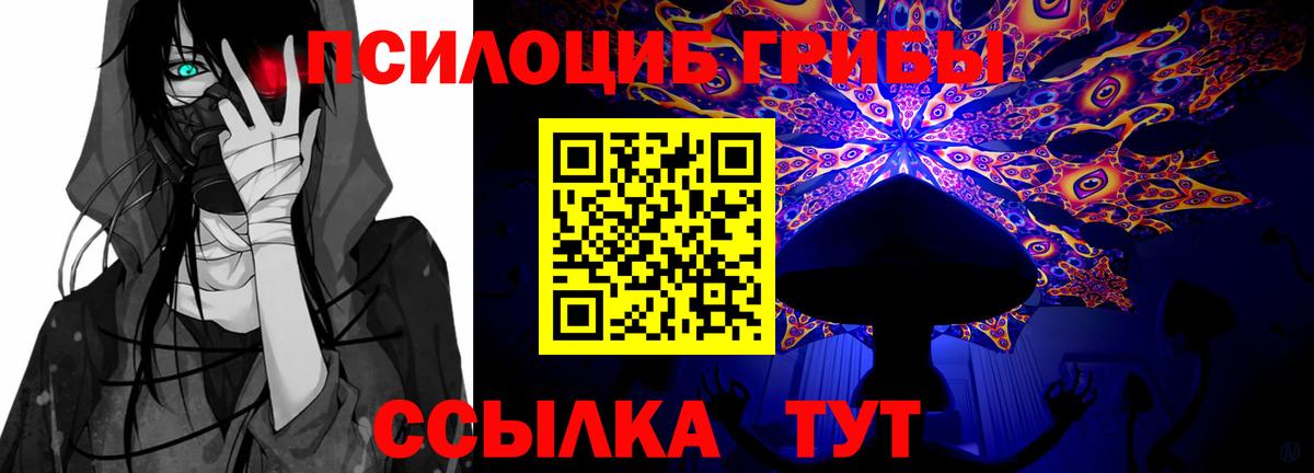 Галлюциногенные грибы MAGIC MUSHROOMS Кубинка