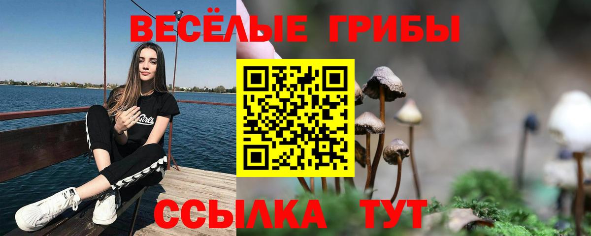 Псилоцибиновые грибы Magic Shrooms  Вход с VPN  Кубинка  Псилоцибиновые грибы Psilocybine cubensis 